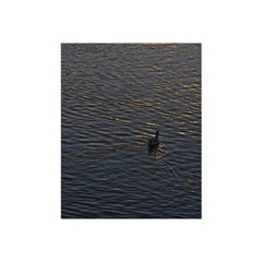 Lonely Duck Swimming At Lake At Sunset Time Shower Curtain 48  X 72  (small)  by dflcprints