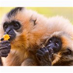 TWO MONKEYS Collage 8  x 10  10 x8  Print - 2