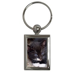 Kitty In A Corner Key Chains (rectangle)  by trendistuff