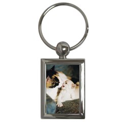 Calico Cat And White Kitty Key Chains (rectangle)  by trendistuff