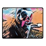 Img 20161203 0001 Double Sided Fleece Blanket (Small)  45 x34  Blanket Front