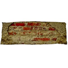 Wall Plaster Background Facade Body Pillow Case (dakimakura)