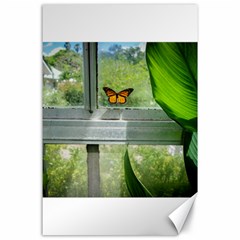 Butterfly #17 Canvas 24  X 36 