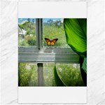 Butterfly #17 Canvas 24  x 36  23.35 x34.74  Canvas - 1