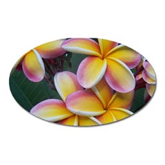 Premier Mix Flower Oval Magnet by alohaA