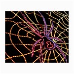 Black Widow Spider, Yellow Web Small Glasses Cloth Front