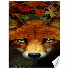 Fox Canvas 12  X 16  