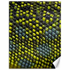 Lizard Animal Skin Canvas 12  X 16  
