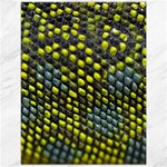 Lizard Animal Skin Canvas 12  x 16   11.86 x15.41  Canvas - 1