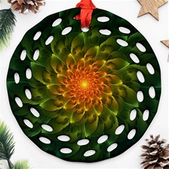 Beautiful Orange-green Desert Cactus Fractalspiral Ornament (round Filigree)