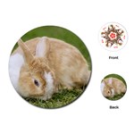 Beautiful Blue Eyed Bunny On Green Grass Playing Cards (Round)  Front