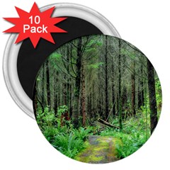 Forest Woods Nature Landscape Tree 3  Magnets (10 Pack) 
