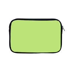 Minty Apple Macbook Pro 13  Zipper Case