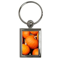 Pumpkins 1 Key Chains (rectangle)  by trendistuff