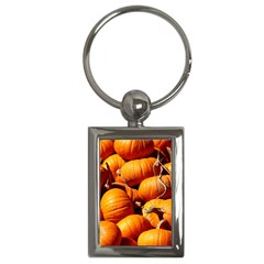 Pumpkins 3 Key Chains (rectangle)  by trendistuff