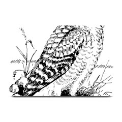 Animal Bird Forest Nature Owl Plate Mats