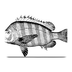 Animal Fish Ocean Sea Plate Mats