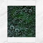 Morning Dew Canvas 24  x 36  23.35 x34.74  Canvas - 1