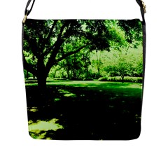 Lake Park 14 Flap Messenger Bag (l) 