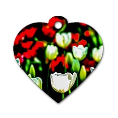 White And Red Sunlit Tulips Dog Tag Heart (two Sides)