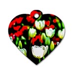 White And Red Sunlit Tulips Dog Tag Heart (Two Sides) Back