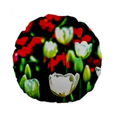 White And Red Sunlit Tulips Standard 15  Premium Round Cushions