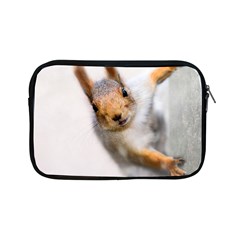 Curious Squirrel Apple Ipad Mini Zipper Cases by FunnyCow