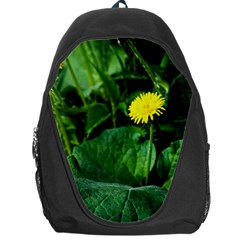 Yellow Dandelion Flowers In Spring Backpack Bag by FunnyCow