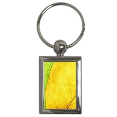 Green Yellow Leaf Texture Leaves Key Chains (rectangle)  by Alisyart
