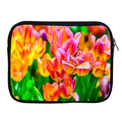 Blushing Tulip Flowers Apple Ipad 2/3/4 Zipper Cases by FunnyCow