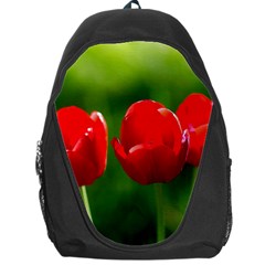 Three Red Tulips, Green Background Backpack Bag by FunnyCow