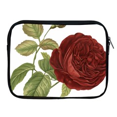 Rose 1077964 1280 Apple Ipad 2/3/4 Zipper Cases by vintage2030
