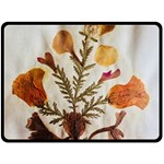 Holy Land Flowers 13 Fleece Blanket (Large)  80 x60  Blanket Front