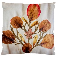 Holy Land Flowers 14 Large Flano Cushion Case (two Sides)