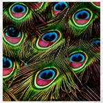 Peacock Feathers Feather Color Canvas 16  x 16  15.2 x15.41  Canvas - 1