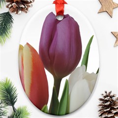 Tulips Bouquet Ornament (oval)