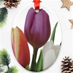 Tulips bouquet Ornament (Oval) Front