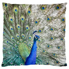 Peacock Bird Colorful Plumage Large Flano Cushion Case (one Side) by Wegoenart
