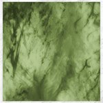 Marble Forest Canvas 20  x 20  19 x19.27  Canvas - 1