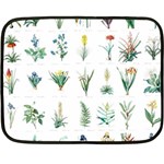 ML-7-3 Fleece Blanket (Mini) 35 x27  Blanket