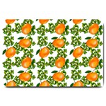 Citrus Tropical Orange White Large Doormat  30 x20  Door Mat