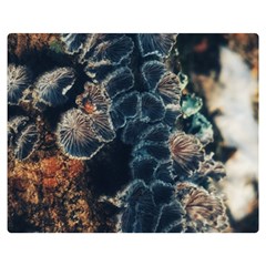 Tree Fungus Branch Vertical Double Sided Flano Blanket (medium) 