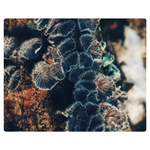 Tree Fungus Branch Vertical Double Sided Flano Blanket (Medium)  60 x50  Blanket Front