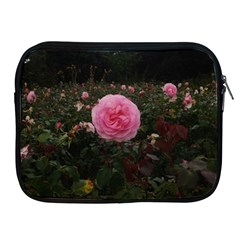 Pink Rose Field Ii Apple Ipad 2/3/4 Zipper Cases by okhismakingart