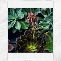 Succulents Canvas 12  X 16 