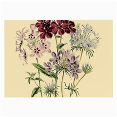Botanical Print Antique Flora Plant Large Glasses Cloth (2 Sides)