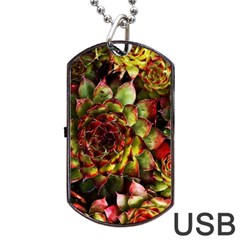 Plant Succulents Succulent Dog Tag Usb Flash (two Sides)