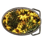 Echinacea paradoxa Belt Buckles Front