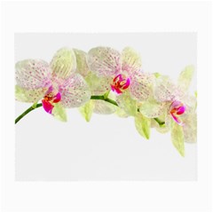 Phalenopsis Orchid White Lilac Watercolor Aquarel Small Glasses Cloth (2 Sides)