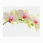 Phalenopsis orchid white lilac watercolor aquarel Small Glasses Cloth (2 Sides) Back